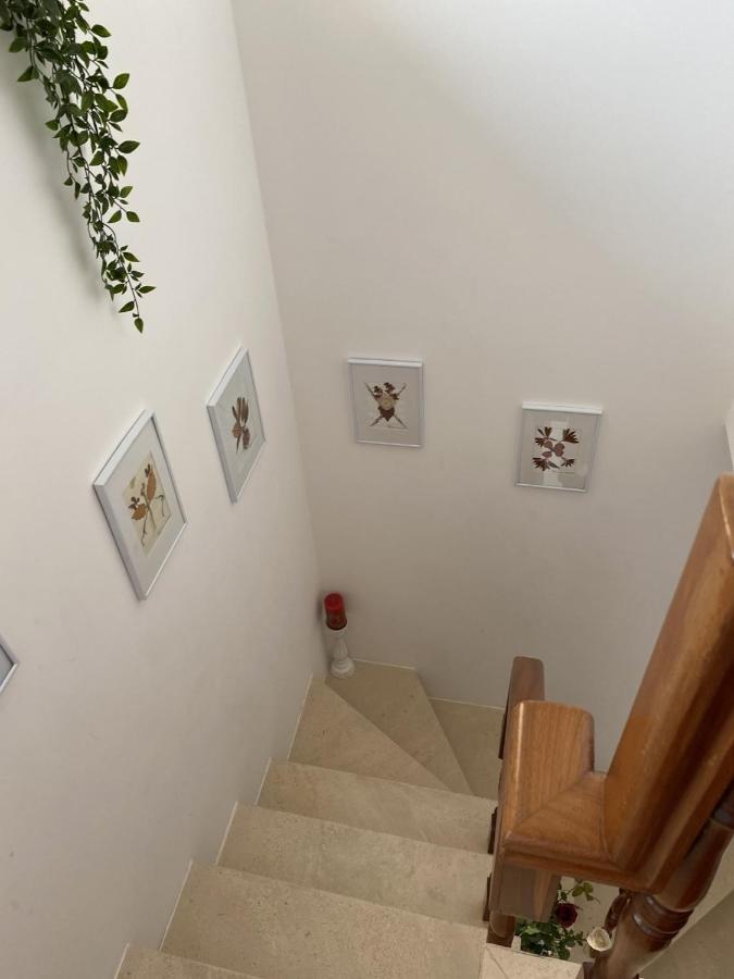 Góis Casa Da Avo Fatima 아파트 외부 사진